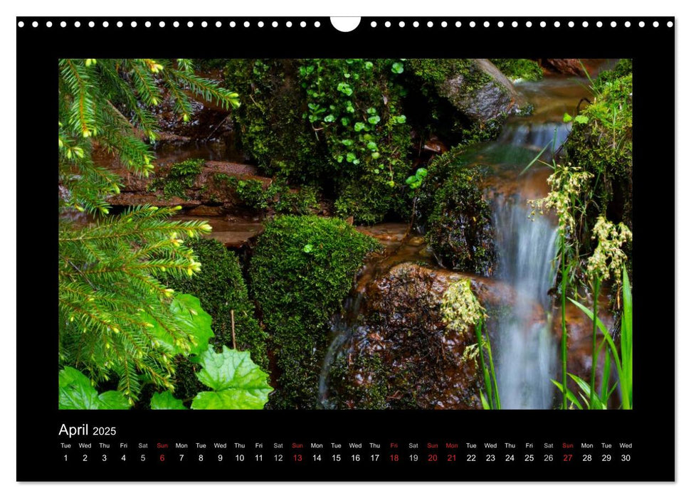 The Black Forest - UK Version (CALVENDO Monthly Calendar 2025)