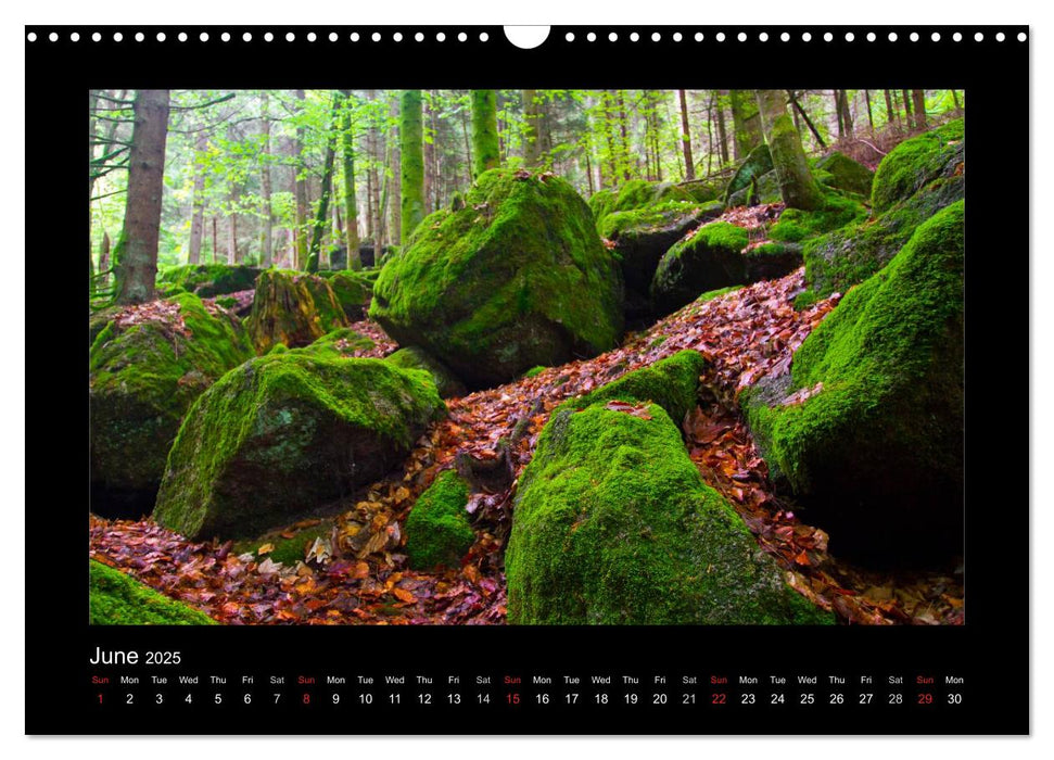 The Black Forest - UK Version (CALVENDO Monthly Calendar 2025)