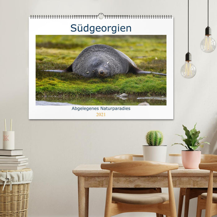 Südgeorgien - Abgelegenes Naturparadies (CALVENDO Wandkalender 2021)