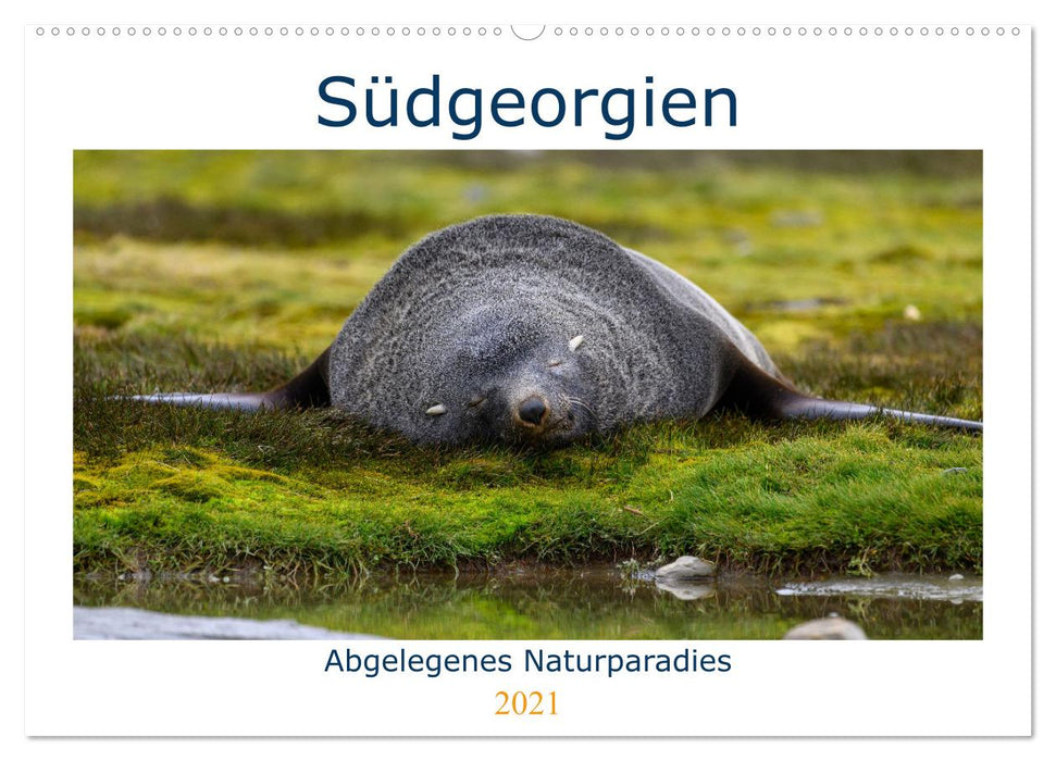 Südgeorgien - Abgelegenes Naturparadies (CALVENDO Wandkalender 2021)