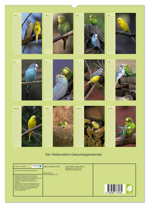 Der Wellensittich-Geburtstagskalender (CALVENDO Premium Wandkalender 2013)