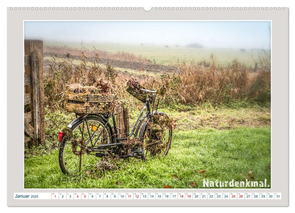 Das Fahrrad als ... (CALVENDO Wandkalender 2025)