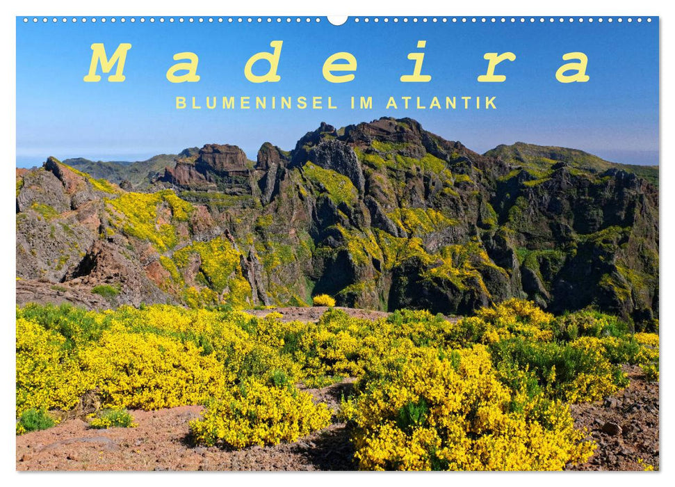 Madeira Blumeninsel im Atlantik (CALVENDO Wandkalender 2025)