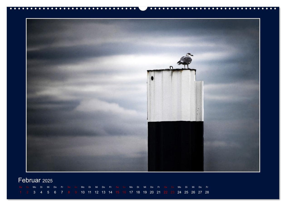Wolken, Watt und Wellen. Fotografische Impressionen vom Jadebusen. (CALVENDO Wandkalender 2025)