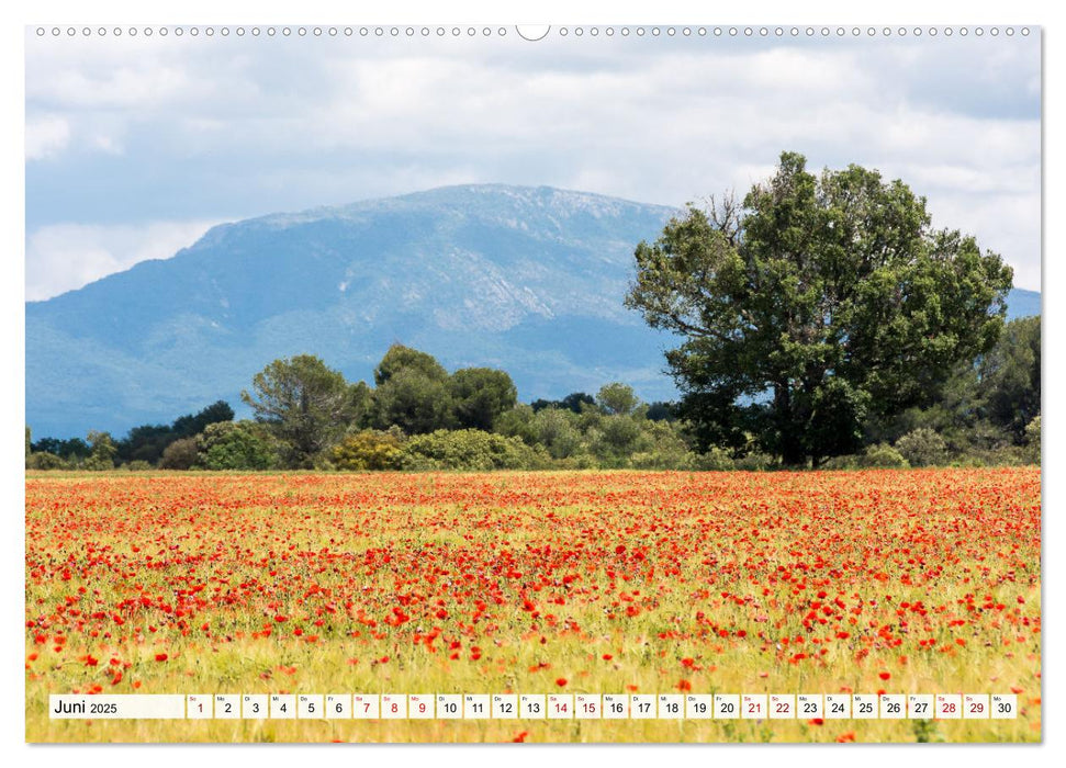 Südfrankreich - Bezaubernde Region mit malerischer Vielfalt (CALVENDO Wandkalender 2025)