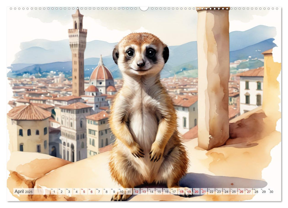 Erdmännchen in Italien (CALVENDO Wandkalender 2025)