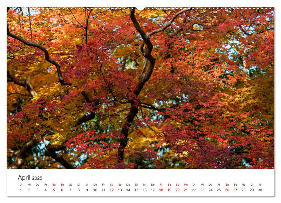 Japanischer Herbst und Laub (CALVENDO Wandkalender 2025)