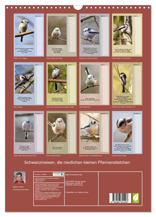 Schwanzmeisen, die niedlichen kleinen Pfannenstielchen (CALVENDO Wandkalender 2025)