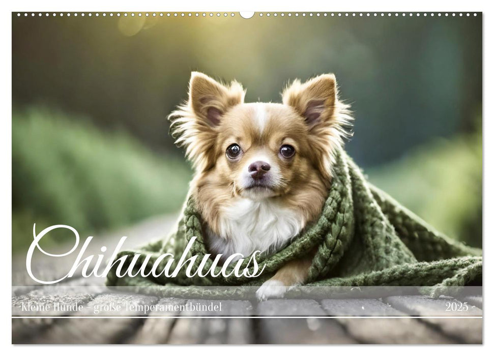 Chihuahuas - Kleine Hunde - große Temperamentbündel (CALVENDO Wandkalender 2025)