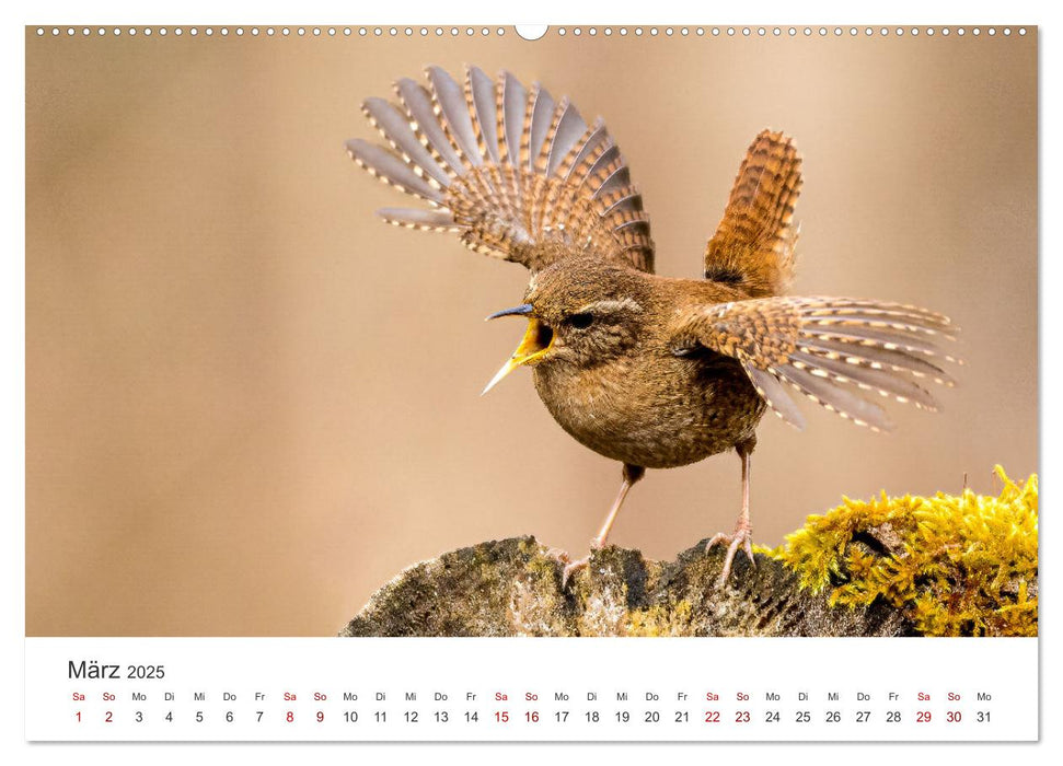 Naturjuwel Haspelmoor (CALVENDO Premium Wandkalender 2025)