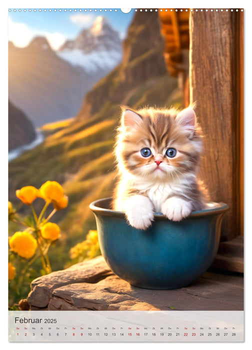 Katzenkinder (CALVENDO Premium Wandkalender 2025)