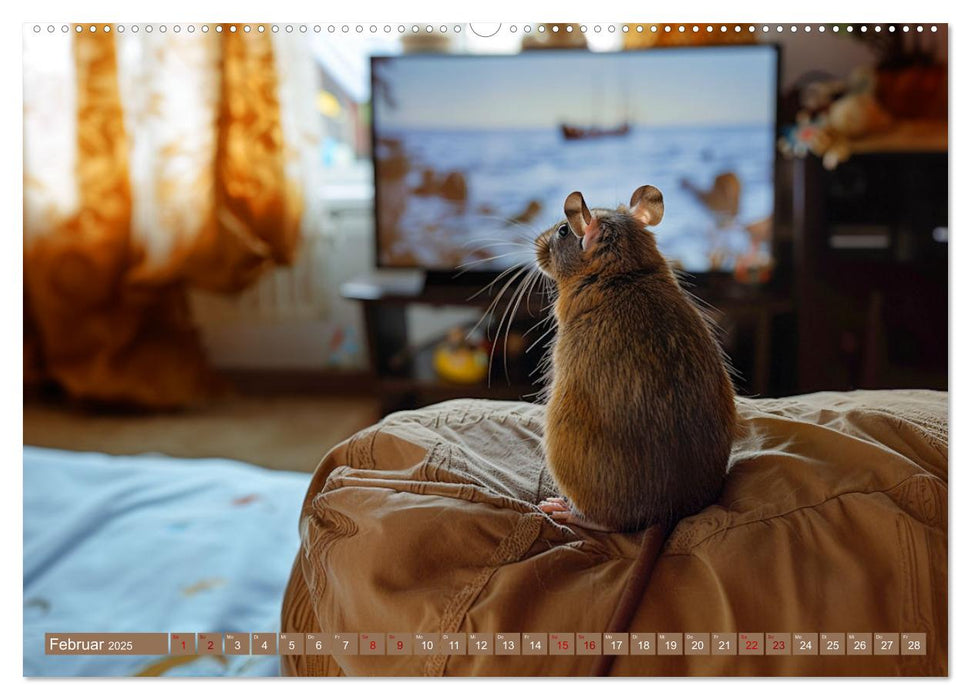 Mein bester Kumpel ist eine Ratte (CALVENDO Premium Wandkalender 2025)