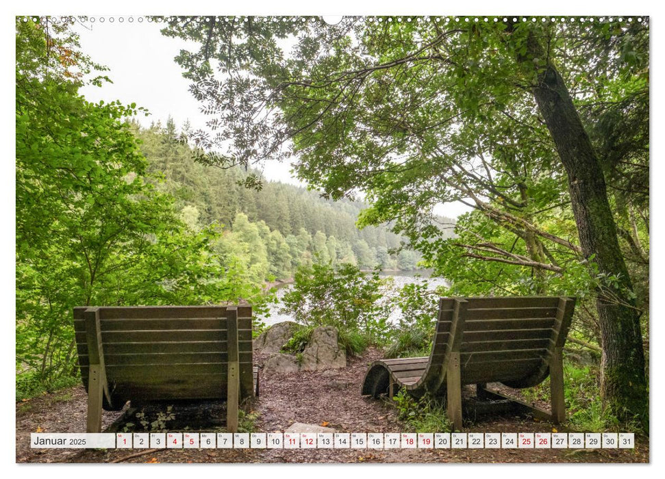 Nationalpark Eifel - Schöne Tage im Grünen (CALVENDO Premium Wandkalender 2025)