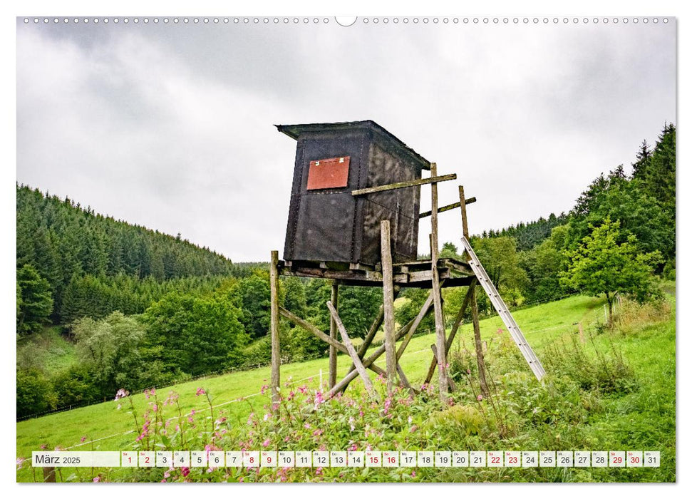 Nationalpark Eifel - Schöne Tage im Grünen (CALVENDO Premium Wandkalender 2025)