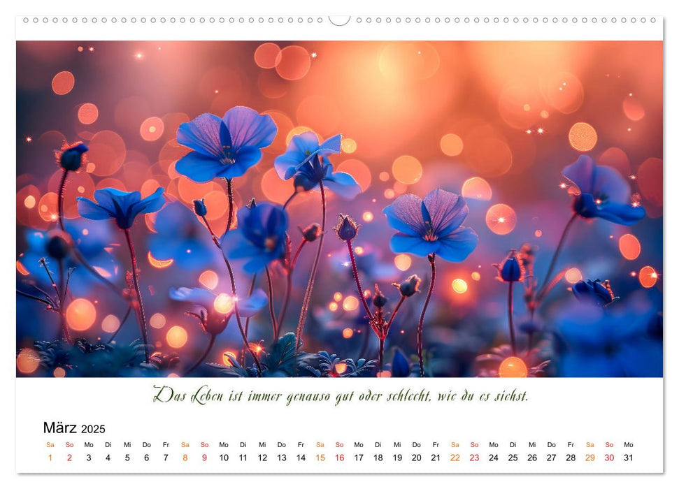 Freu Dich Motivations-Kalender (CALVENDO Wandkalender 2025)