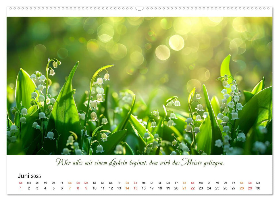 Freu Dich Motivations-Kalender (CALVENDO Wandkalender 2025)