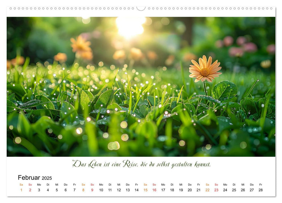 Freu Dich Motivations-Kalender (CALVENDO Premium Wandkalender 2025)