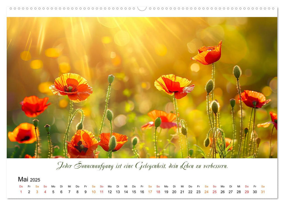 Freu Dich Motivations-Kalender (CALVENDO Premium Wandkalender 2025)