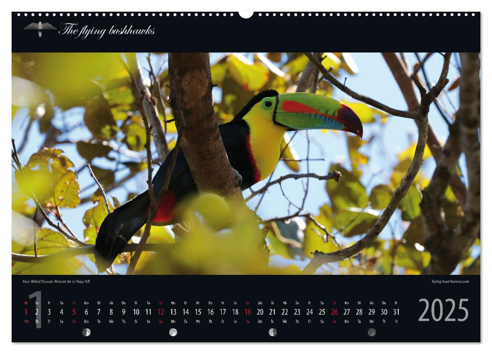Costa Rica Blickwinkel 2025 (CALVENDO Premium Wandkalender 2025)