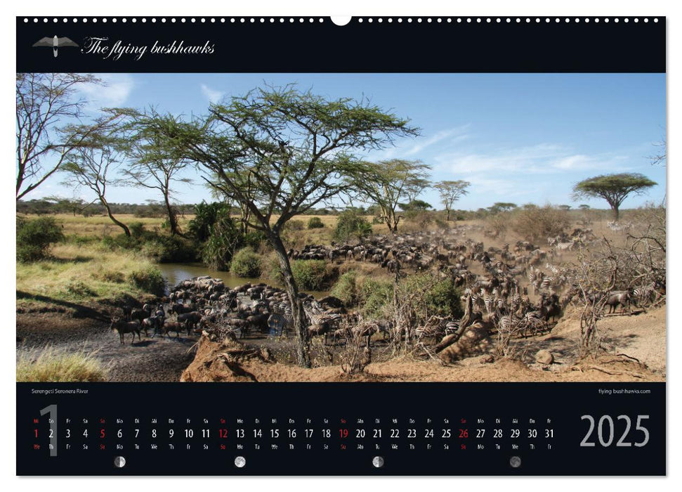 Tansania Blickwinkel 2025 (CALVENDO Premium Wandkalender 2025)
