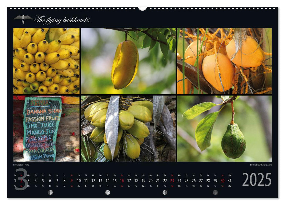 Seychellen Blickwinkel 2025 (CALVENDO Premium Wandkalender 2025)