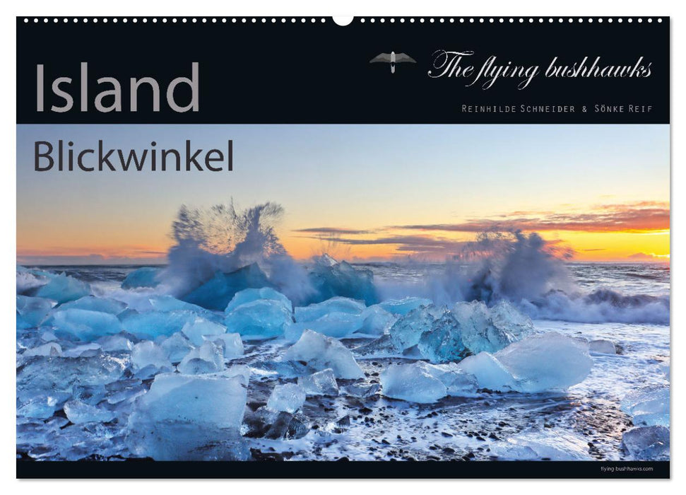 Island Blickwinkel 2025 (CALVENDO Wandkalender 2025)