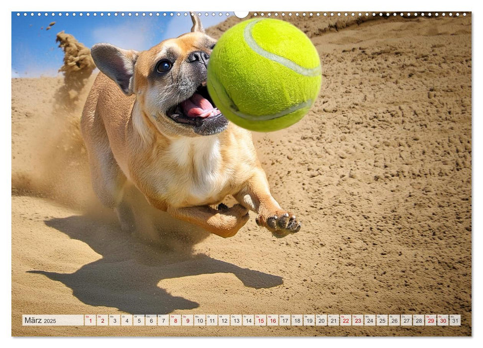 Bullys in Action - Französische Bulldoggen lieben Bälle (CALVENDO Premium Wandkalender 2025)