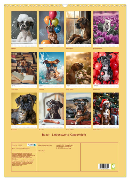 Boxer - Liebenswerte Kapserköpfe (CALVENDO Wandkalender 2025)