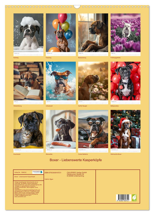 Boxer - Liebenswerte Kasperköpfe (CALVENDO Wandkalender 2025)