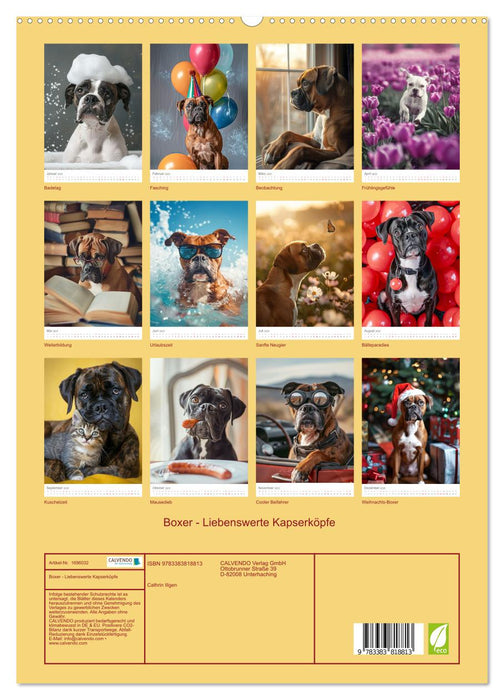 Boxer - Liebenswerte Kapserköpfe (CALVENDO Premium Wandkalender 2025)