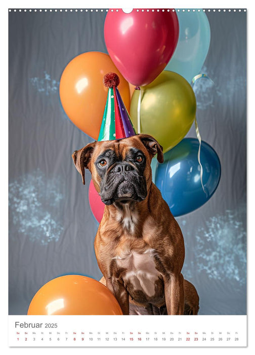 Boxer - Liebenswerte Kapserköpfe (CALVENDO Premium Wandkalender 2025)