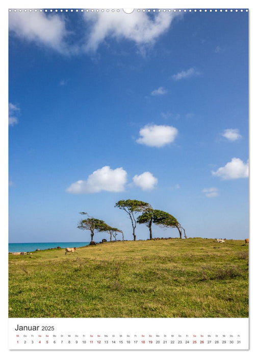 Guadeloupe, Insel über dem Winde (CALVENDO Wandkalender 2025)