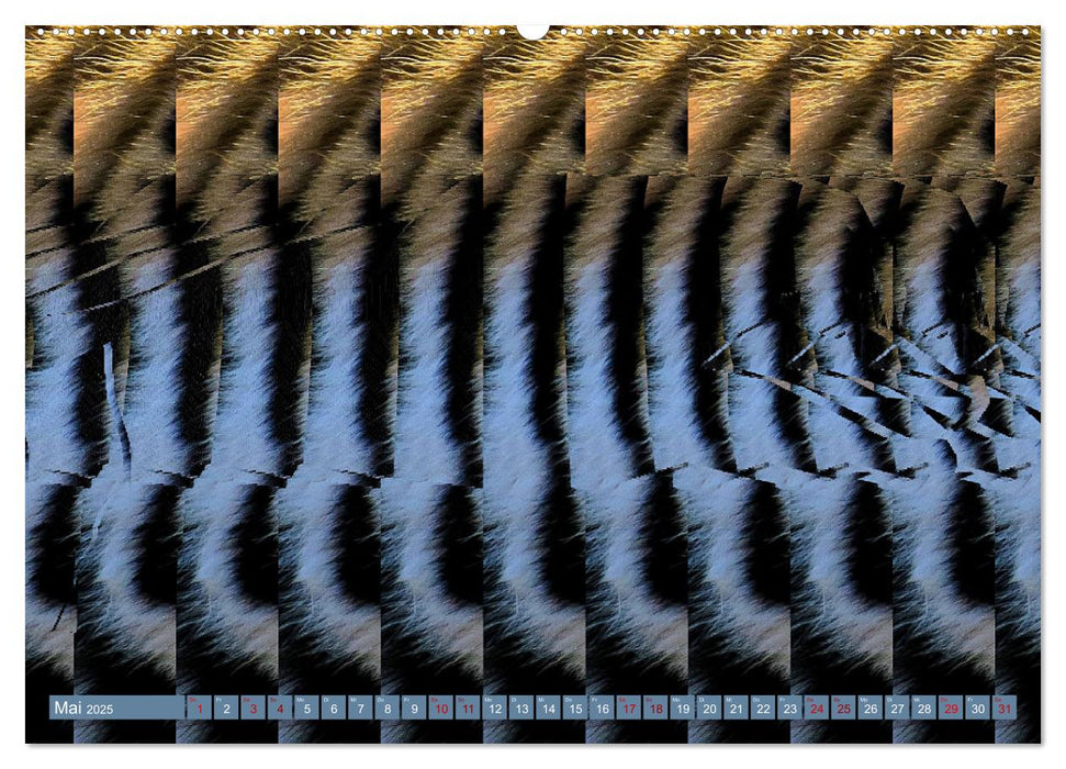 Magische Bilder - fantastische Stereogramme (CALVENDO Wandkalender 2025)
