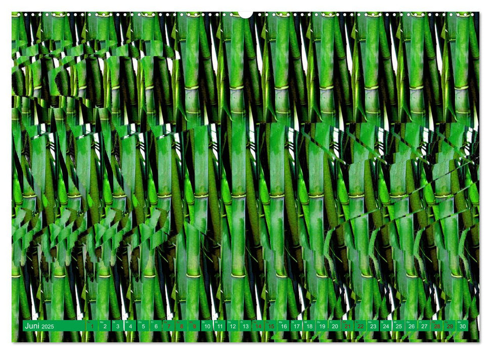Magische Bilder - fantastische Stereogramme (CALVENDO Wandkalender 2025)