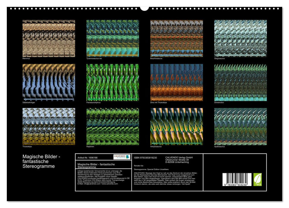 Magische Bilder - fantastische Stereogramme (CALVENDO Premium Wandkalender 2025)