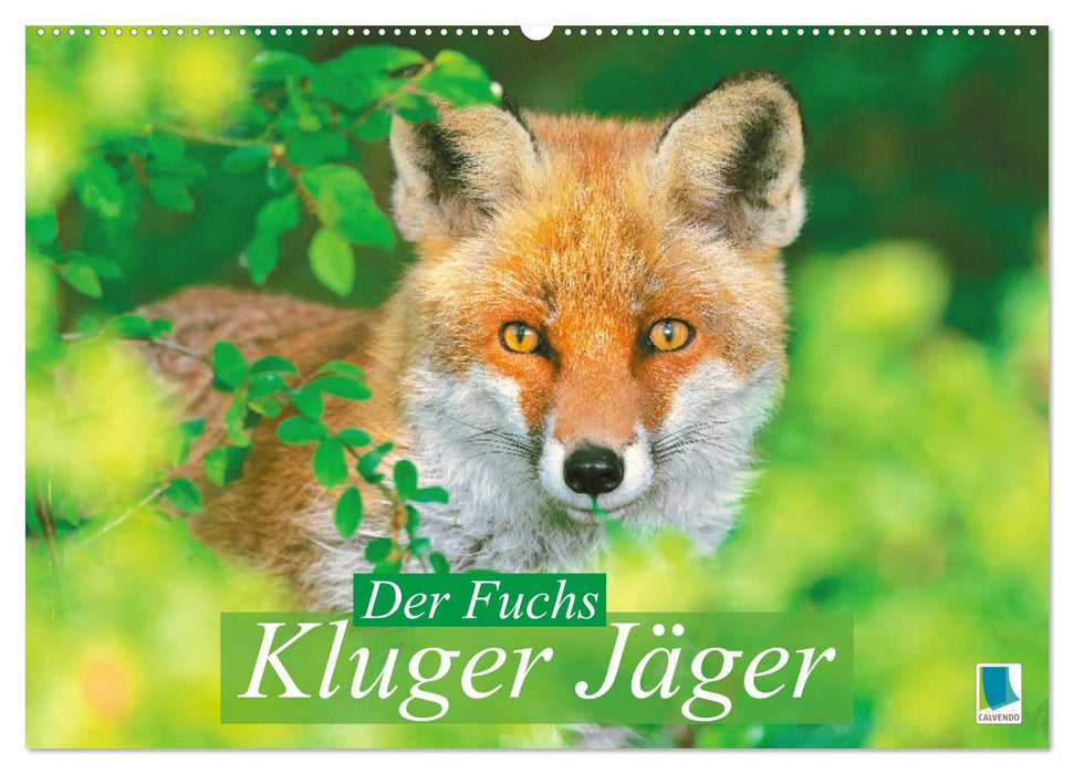 Der Fuchs: Kluger Jäger (CALVENDO Wandkalender 2025)