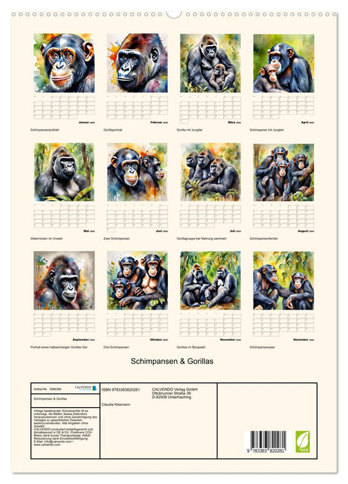 Schimpansen & Gorillas (CALVENDO Premium Wandkalender 2025)