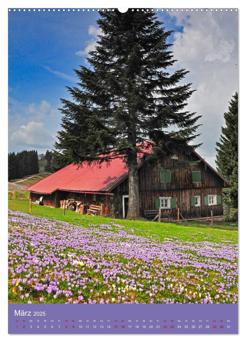 Das Allgäu – eine Landschaft wie im Märchen (CALVENDO Premium Wandkalender 2025)