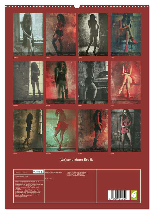 (Un)scheinbare Erotik (CALVENDO Premium Wandkalender 2025)