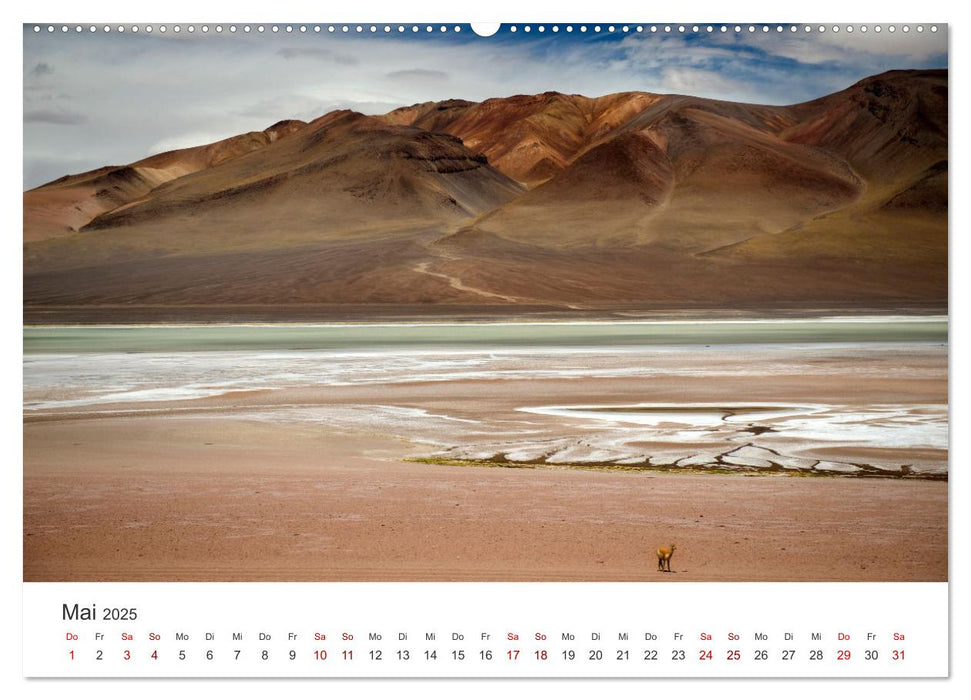 Die Farben der Anden - Argentinien und Chile (CALVENDO Wandkalender 2025)