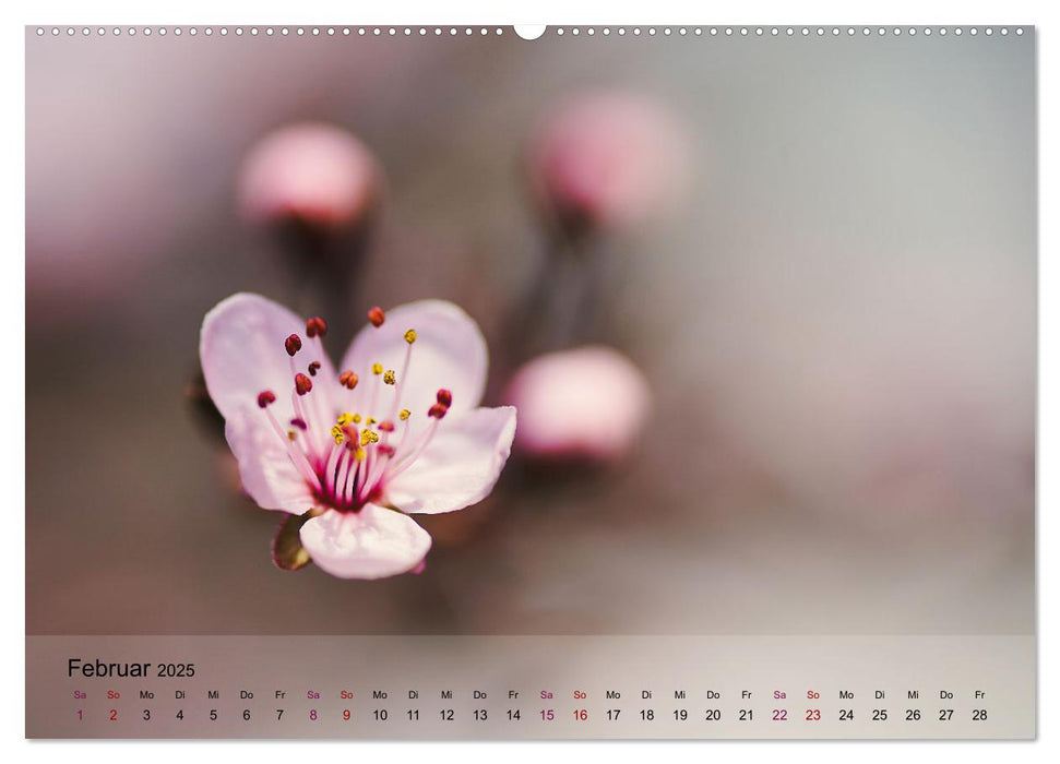 Blütenrausch - Mit Frühlingsgefühlen durchs ganze Jahr (CALVENDO Premium Wandkalender 2025)