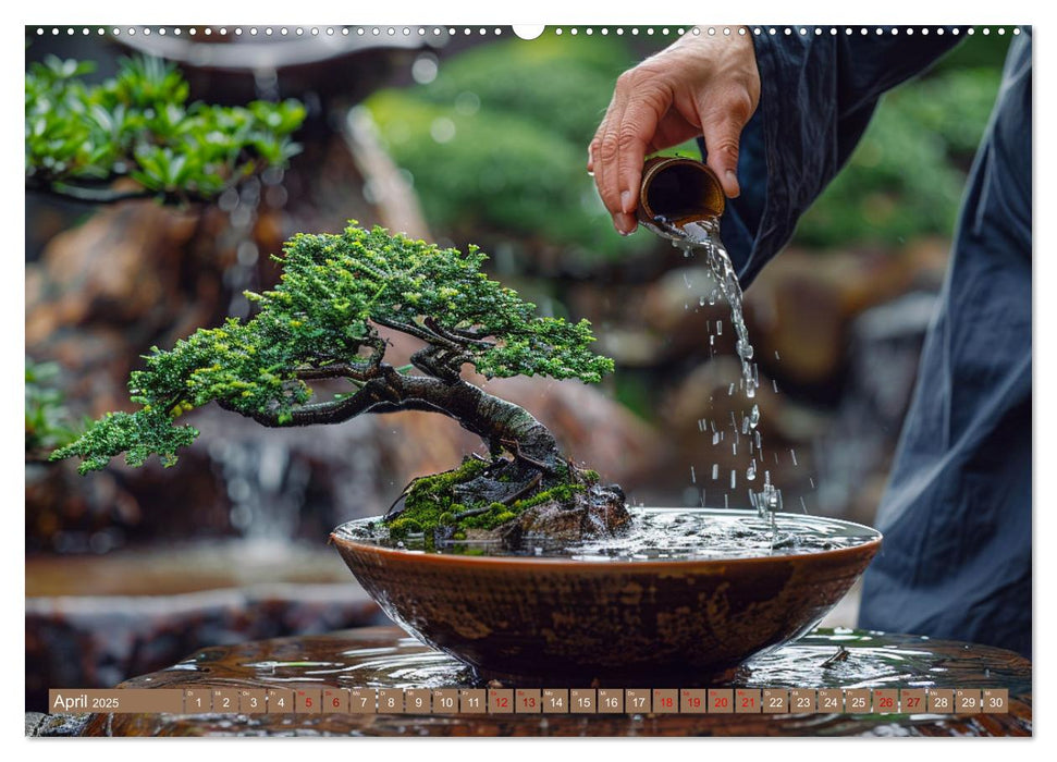 Bonsai meditativ (CALVENDO Premium Wandkalender 2025)