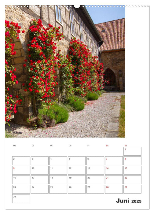 Blankenburg am Harz - Terminplaner (CALVENDO Premium Wandkalender 2025)