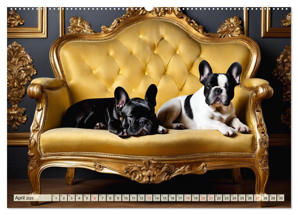 Kleine Könige - Französische Bulldoggen (CALVENDO Wandkalender 2025)