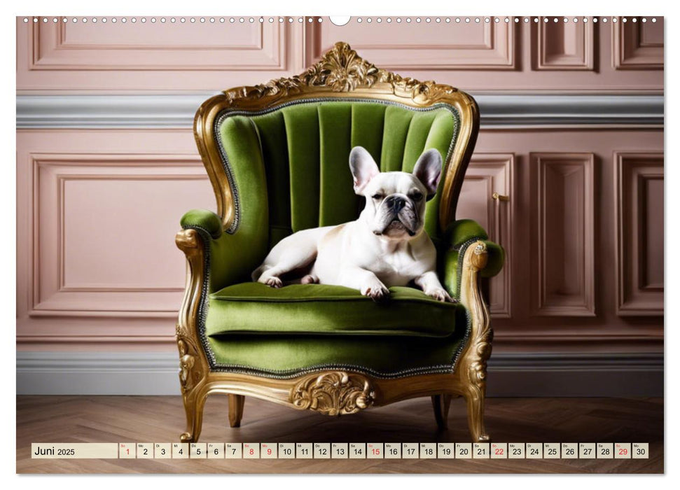 Kleine Könige - Französische Bulldoggen (CALVENDO Premium Wandkalender 2025)