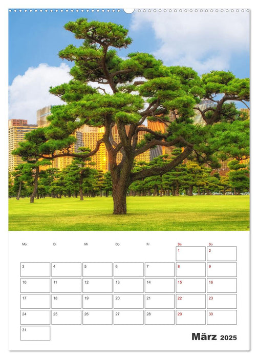 Tokio - Reiseplaner (CALVENDO Wandkalender 2025)