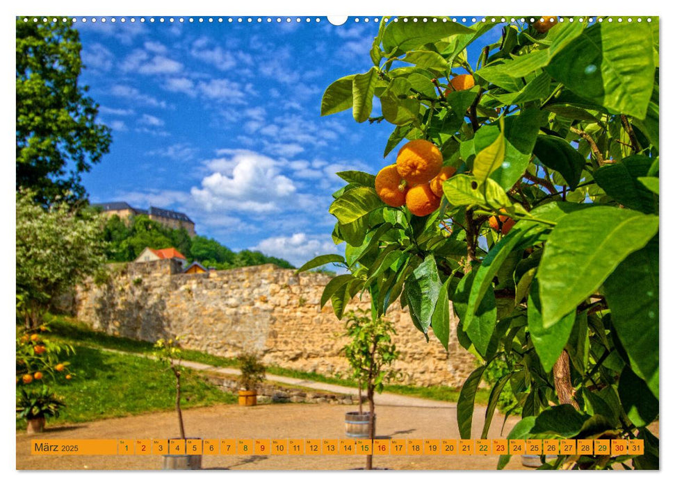 Blankenburger Schlossgärten erleben (CALVENDO Wandkalender 2025)