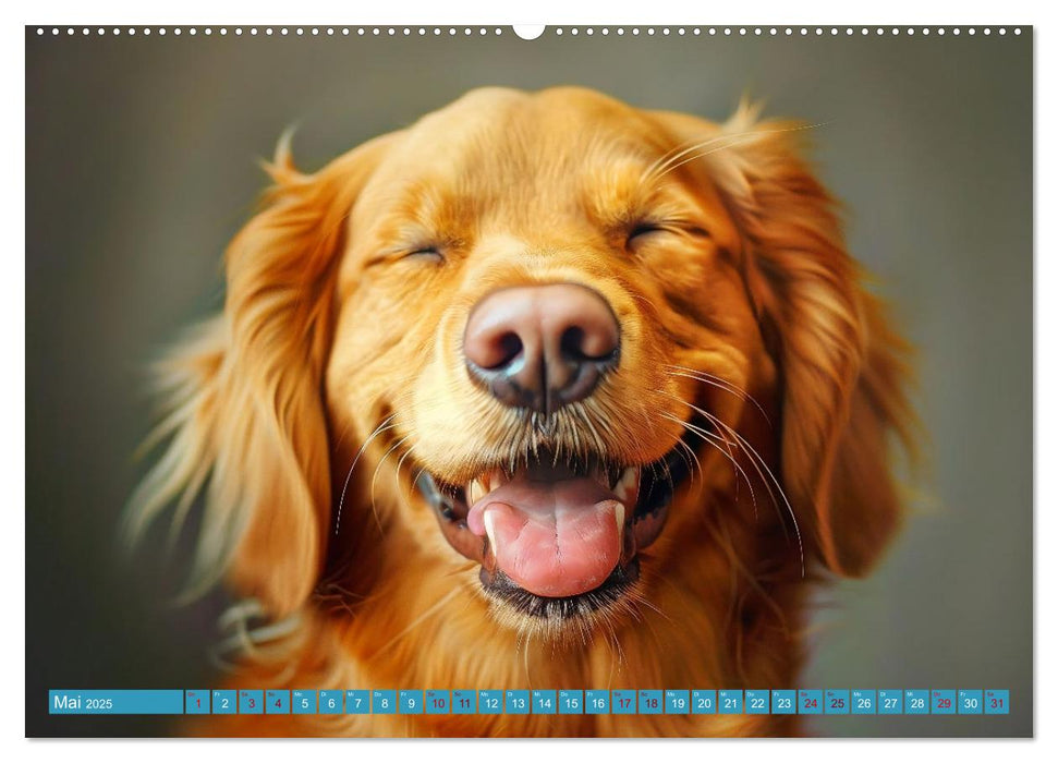 Lächelnde Hunde sind wie Sonnenschein auf vier Pfoten (CALVENDO Wandkalender 2025)