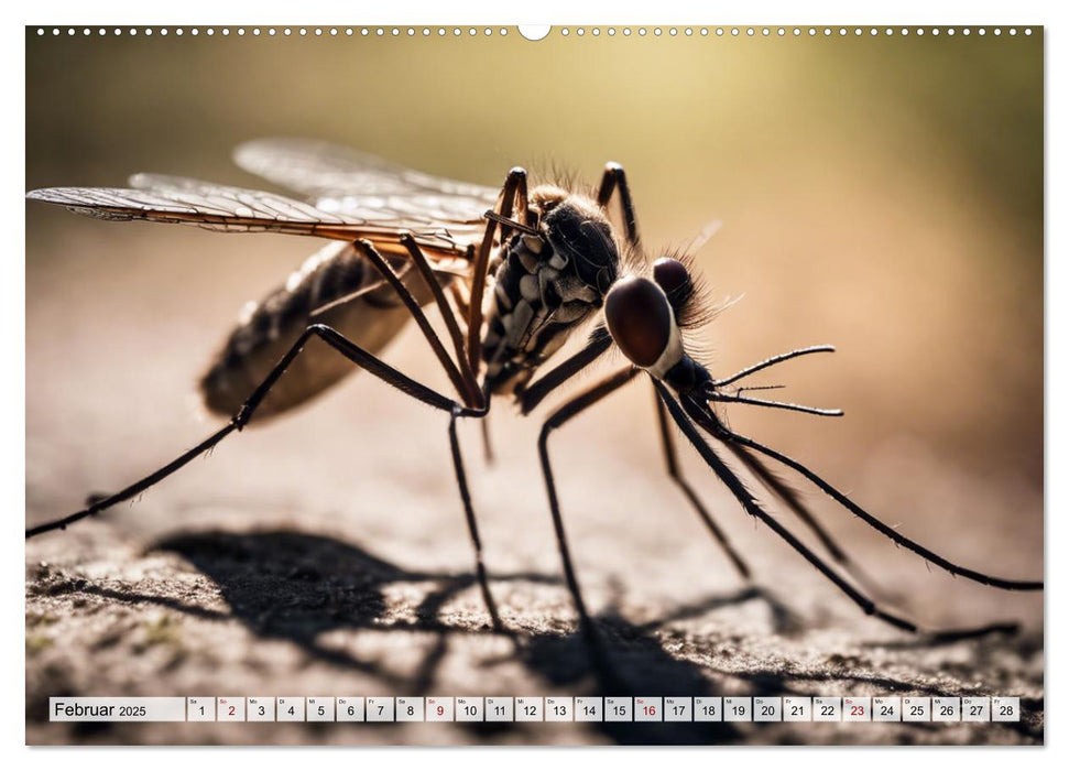 Filigrane Insekten (CALVENDO Wandkalender 2025)