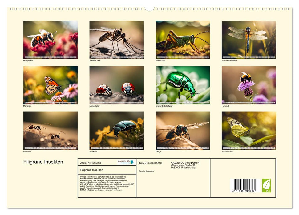 Filigrane Insekten (CALVENDO Premium Wandkalender 2025)
